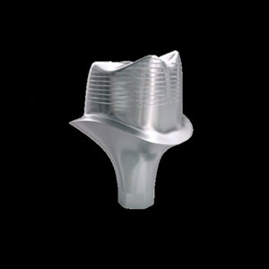 Custom Abutment in Fort Worth